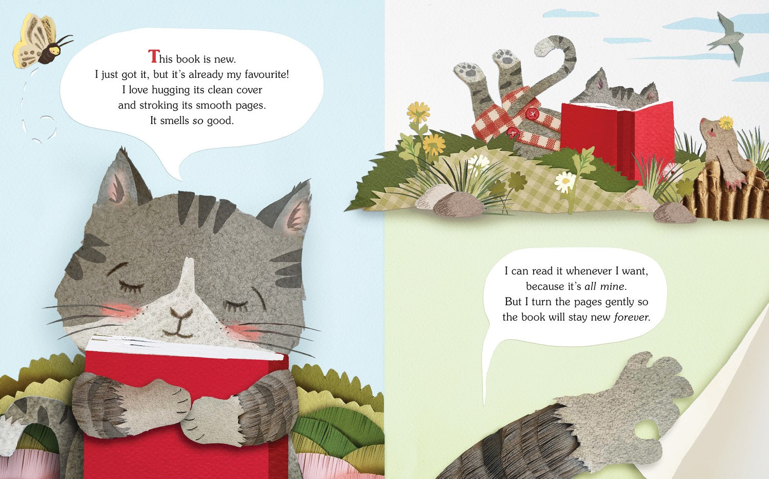 Cat's New Book