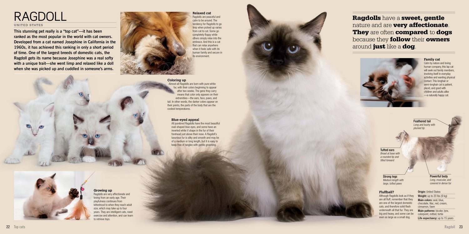Cats A Visual Catalog of More Than 50 Breeds