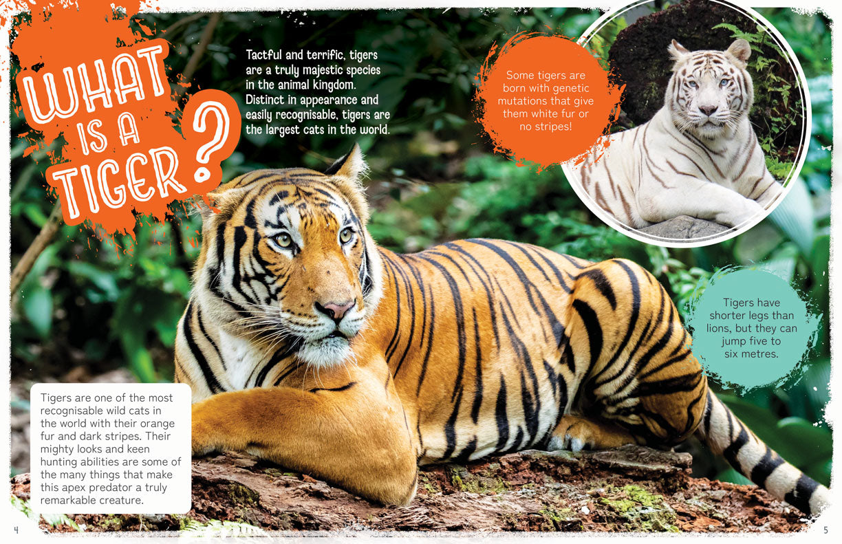 Remarkable Wildlife: Tiger