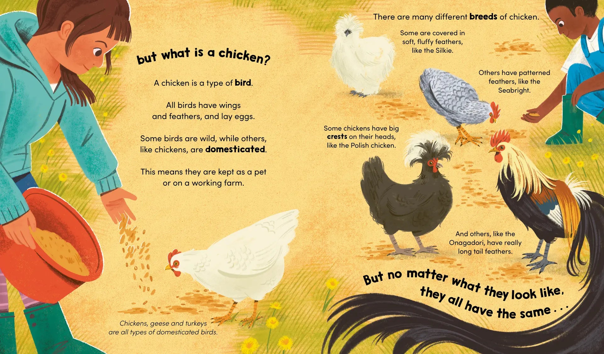 Watch Me Grow: Chickens