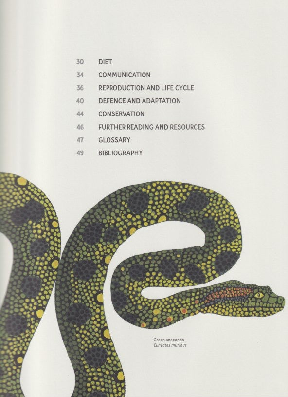 Reptiles & Amphibians