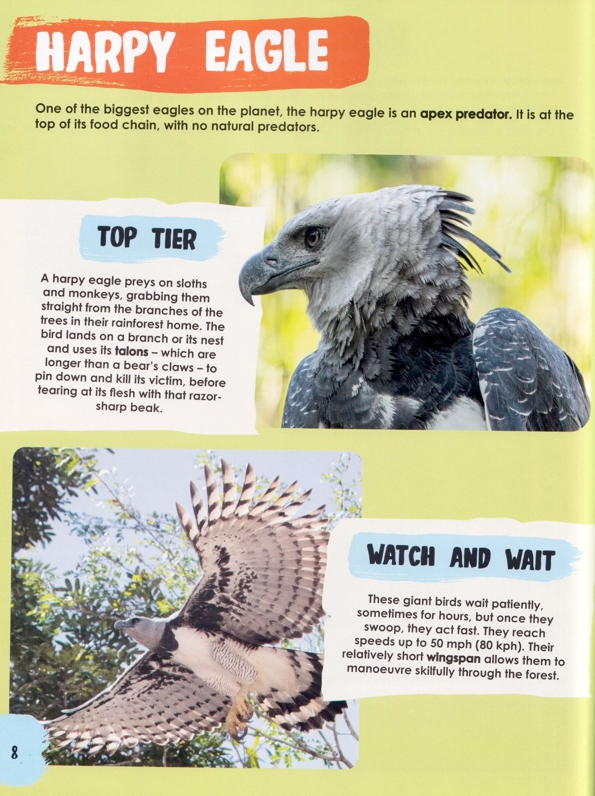 Unforgettably Wild Animals: Incredible Hunters
