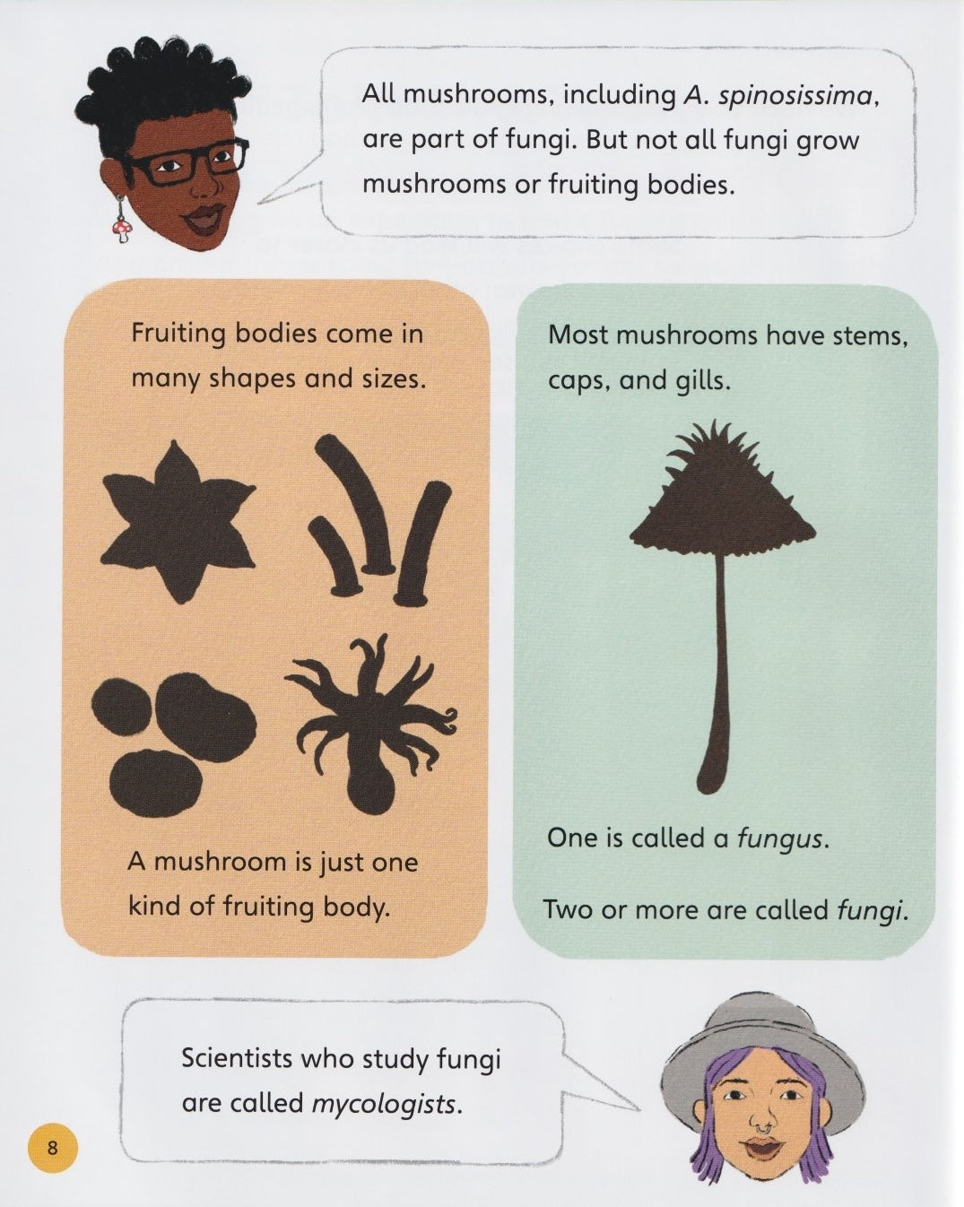 Pick Your Path: Search for a Mysterious Mushroom