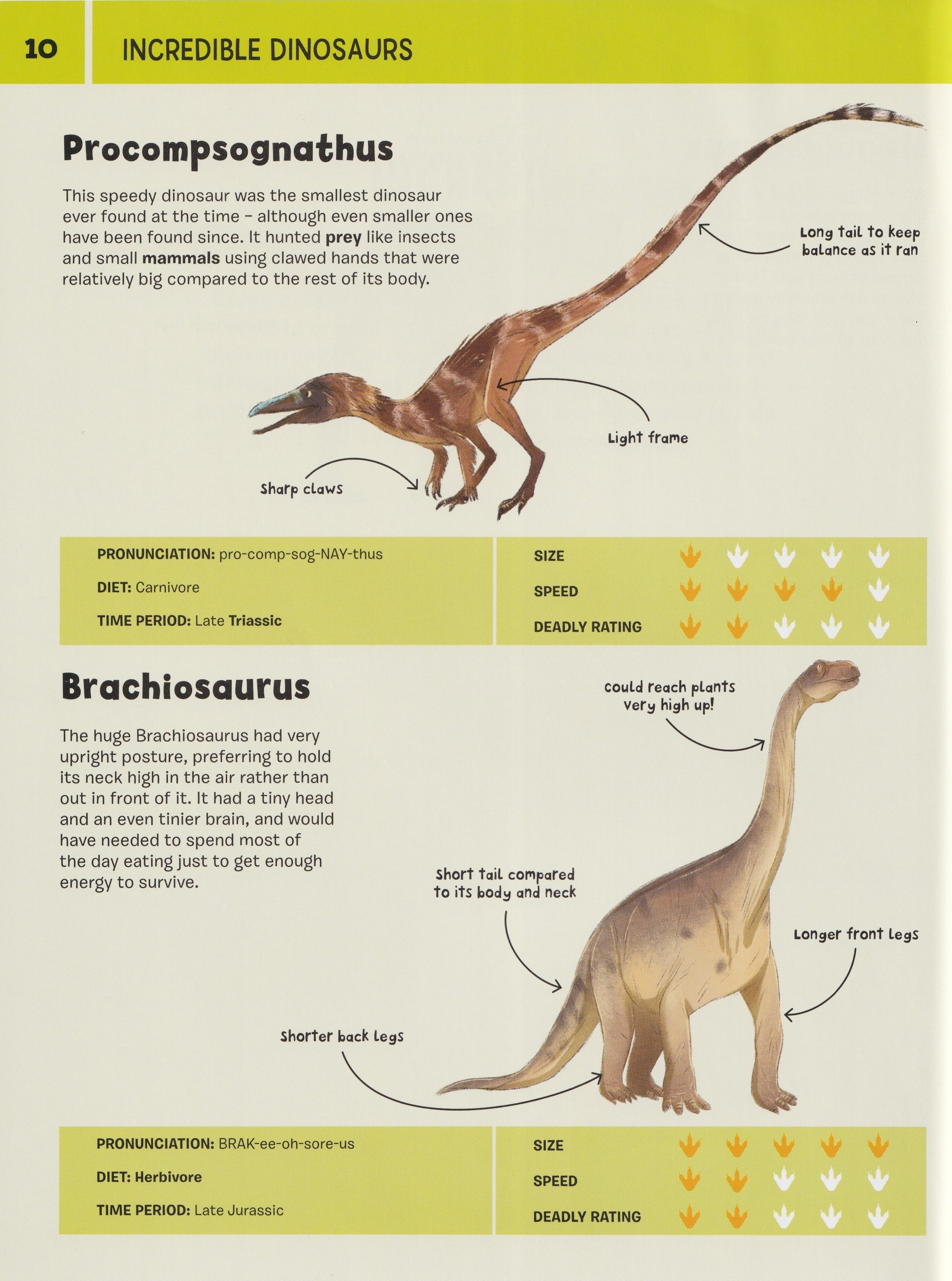 Dinosaurs: Incredible Dinosaurs