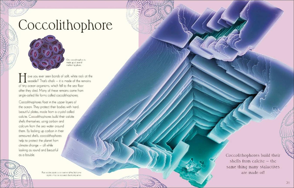 An Anthology of Micro Life