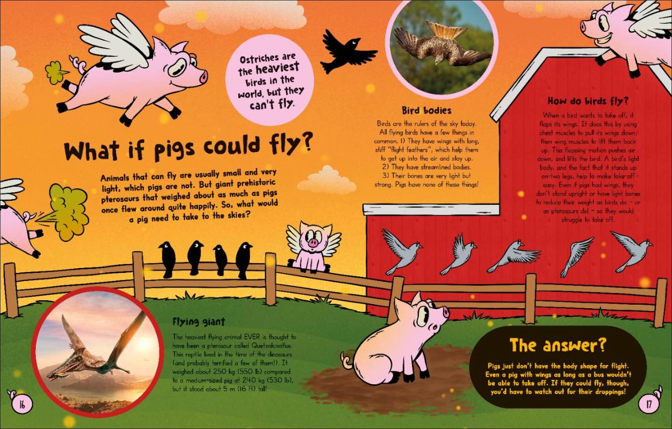 What If... Pigs Could Fly? And Other Amazing Animal Questions
