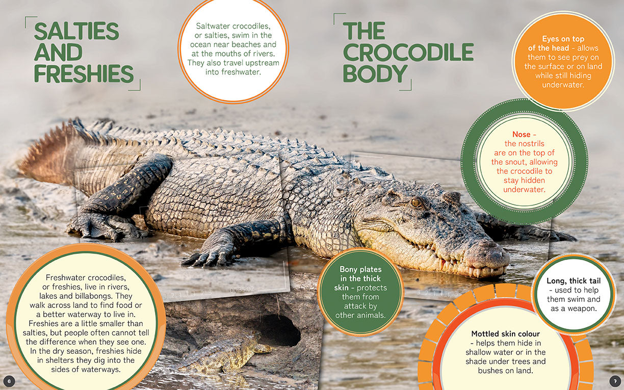 Australia's Remarkable Wildlife: Crocodile (Hardcover)