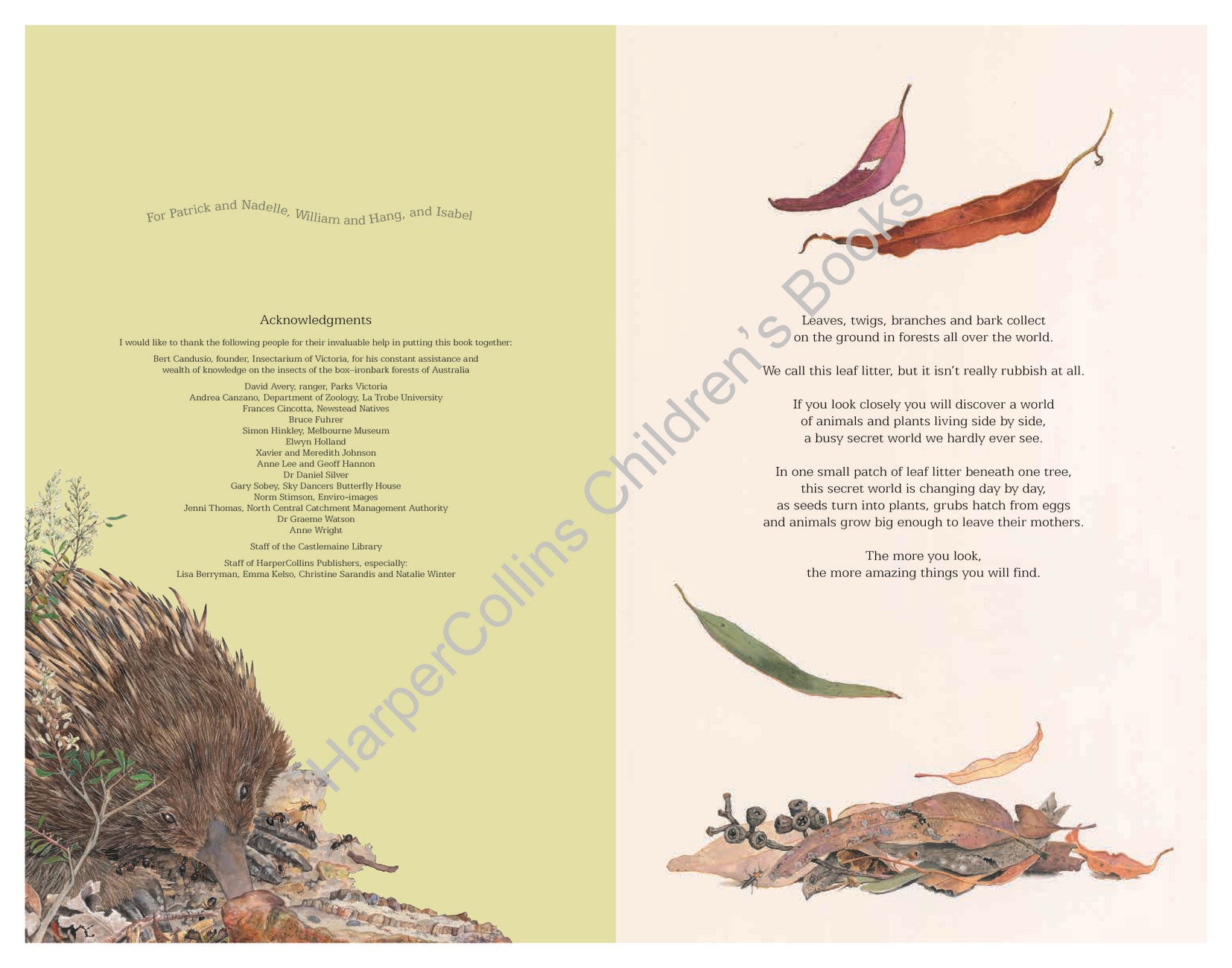 Leaf Litter 20th Anniversary Edition
