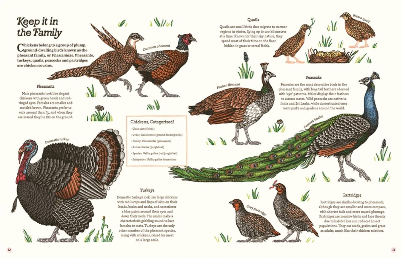 Cluck!: The Eggstraordinary Story of Chickens