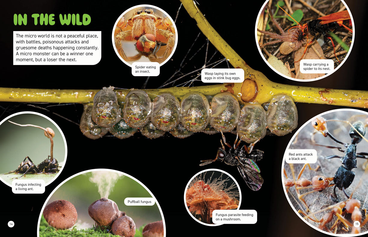 Microscopic and Hidden Life: Micro Monsters Everywhere!