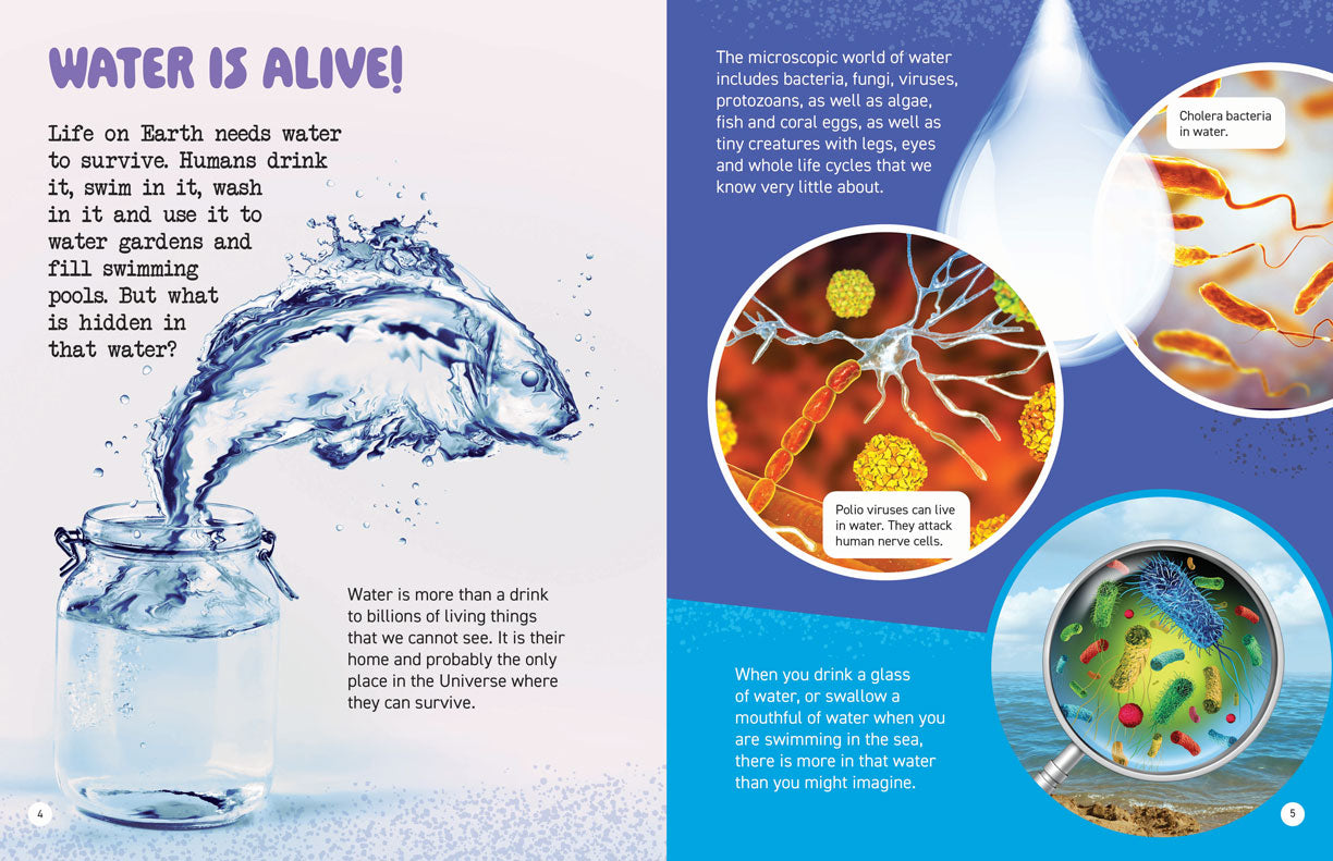 Microscopic and Hidden Life: What’s in That Water?