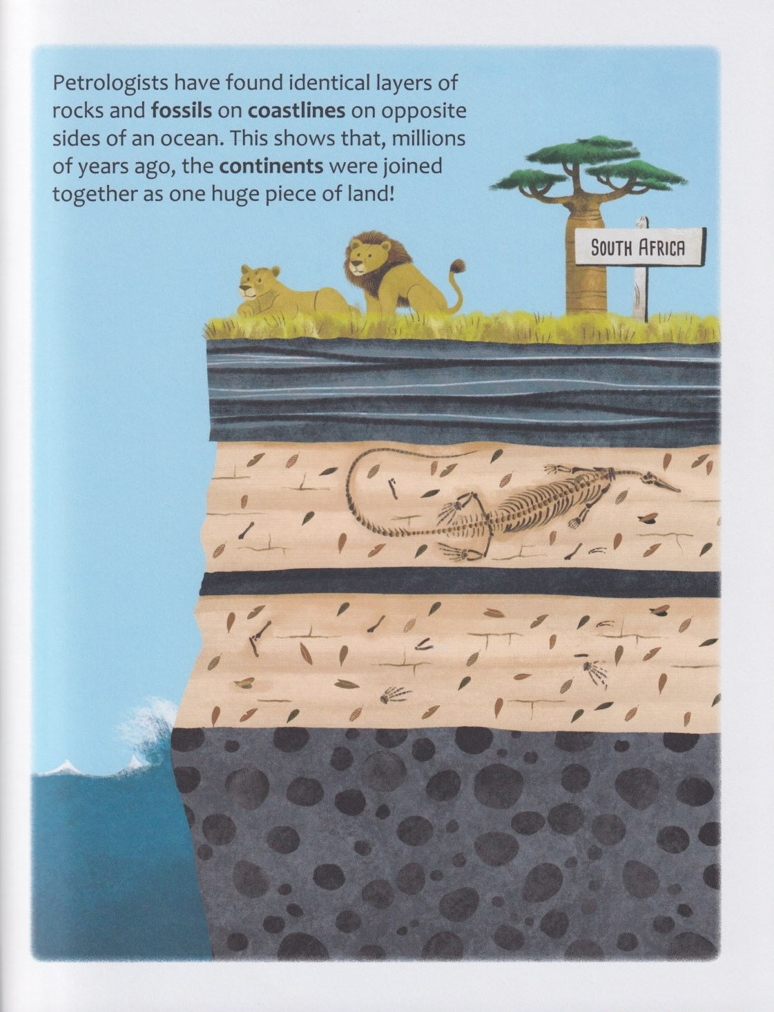 Big Questions Answered: Do Rocks Shape the Earth? Petrology