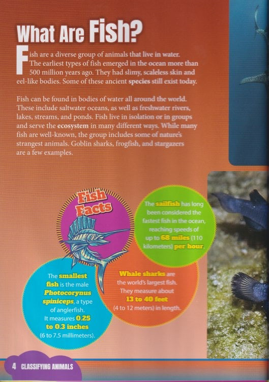 Classifying Animals: Fish