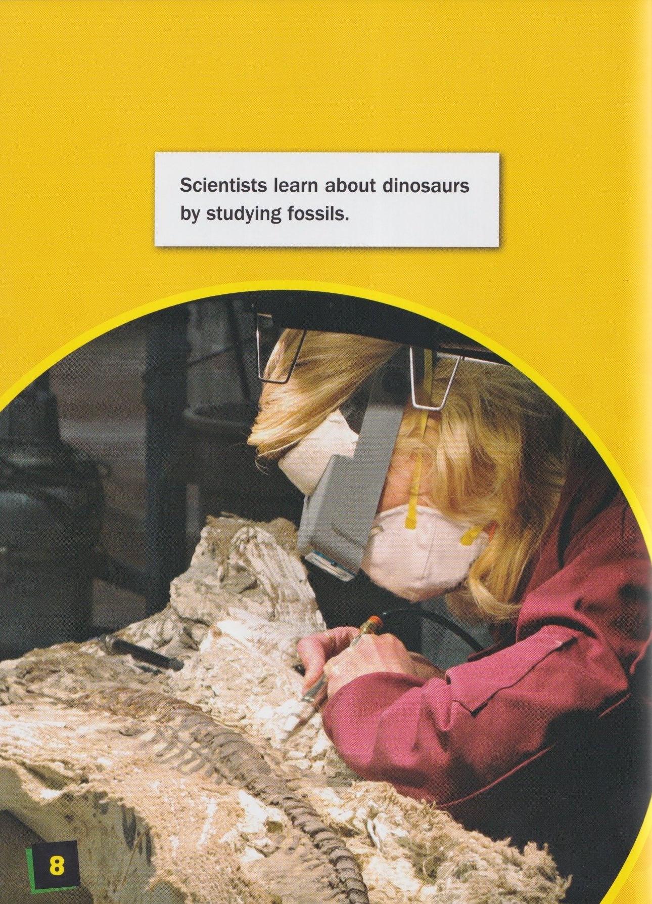 Unbelievable! : 34 Amazing Facts About Dinosaurs