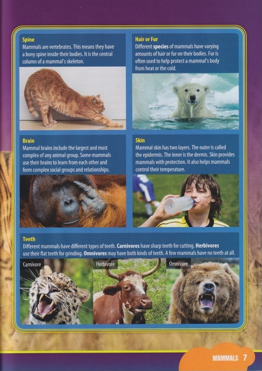 Classifying Animals: Mammals