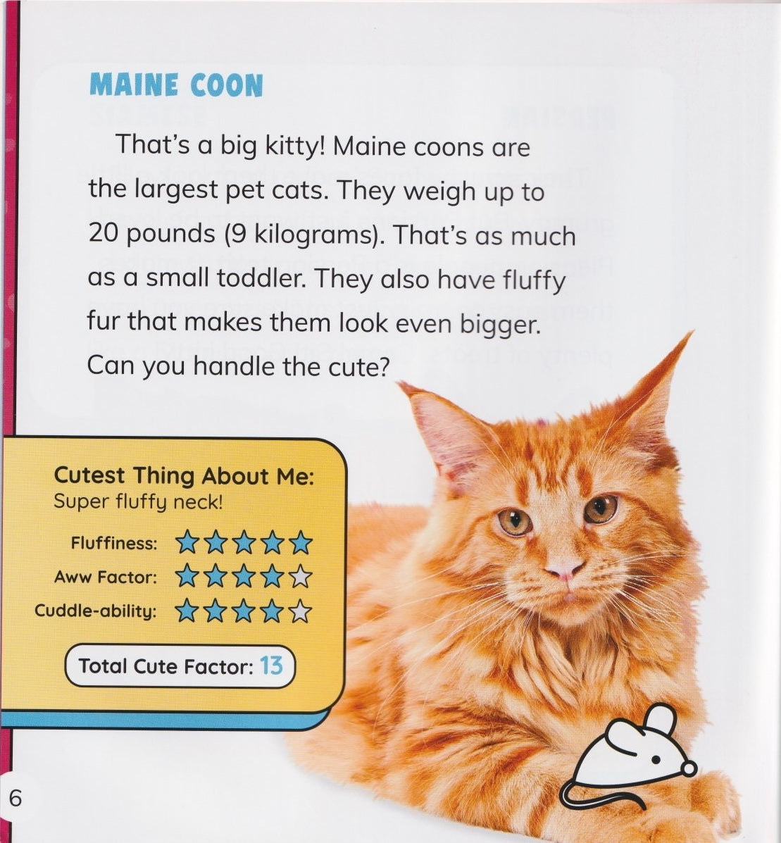 Cutest of All Time: Cutest Cats of All Time
