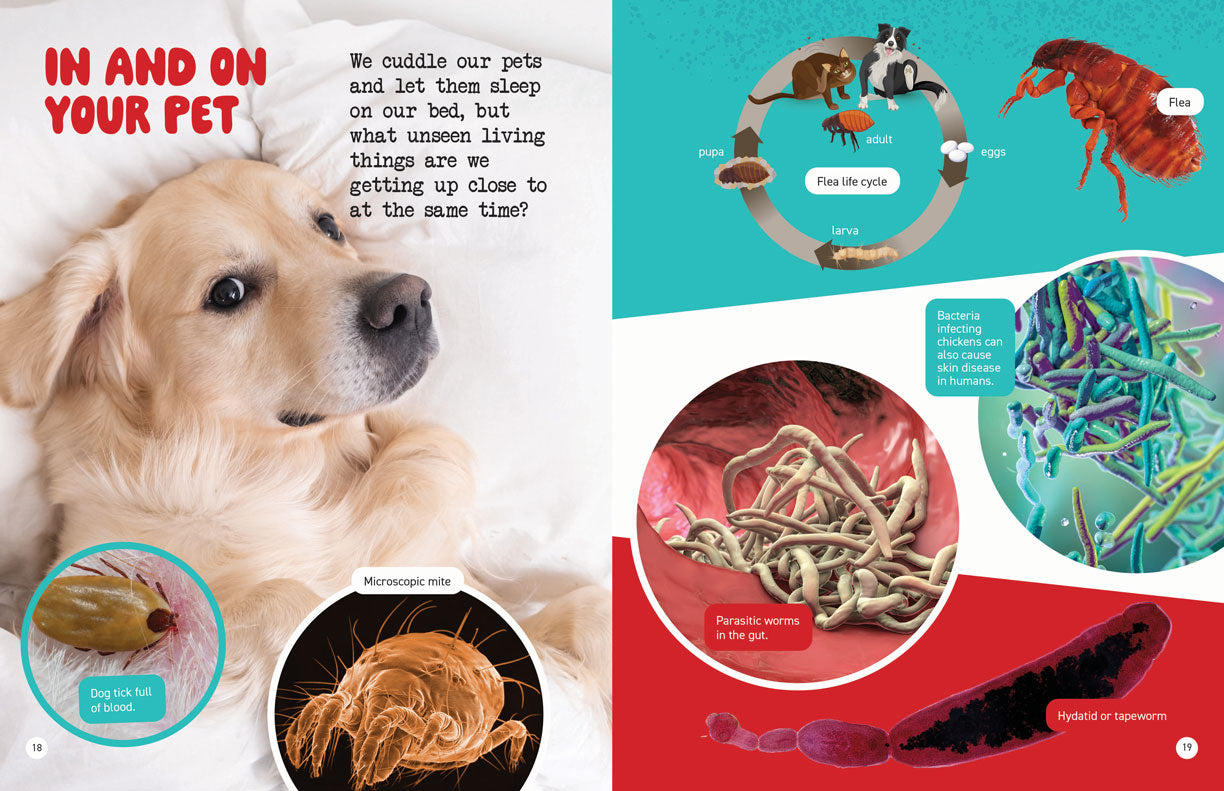 Microscopic and Hidden Life: Micro Monsters Everywhere!