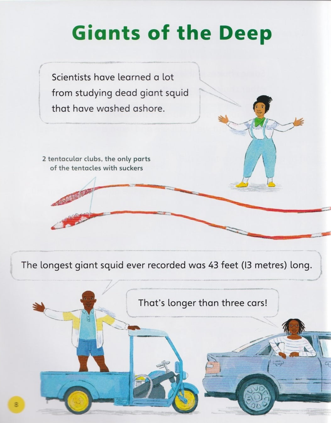 Pick Your Path: Search for a Giant Squid
