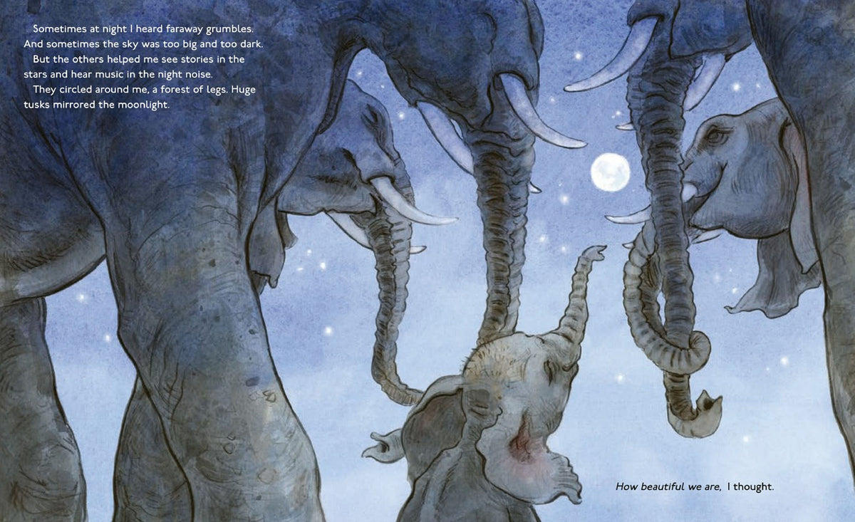 The Littlest Elephant: A One and Only Ruby Story