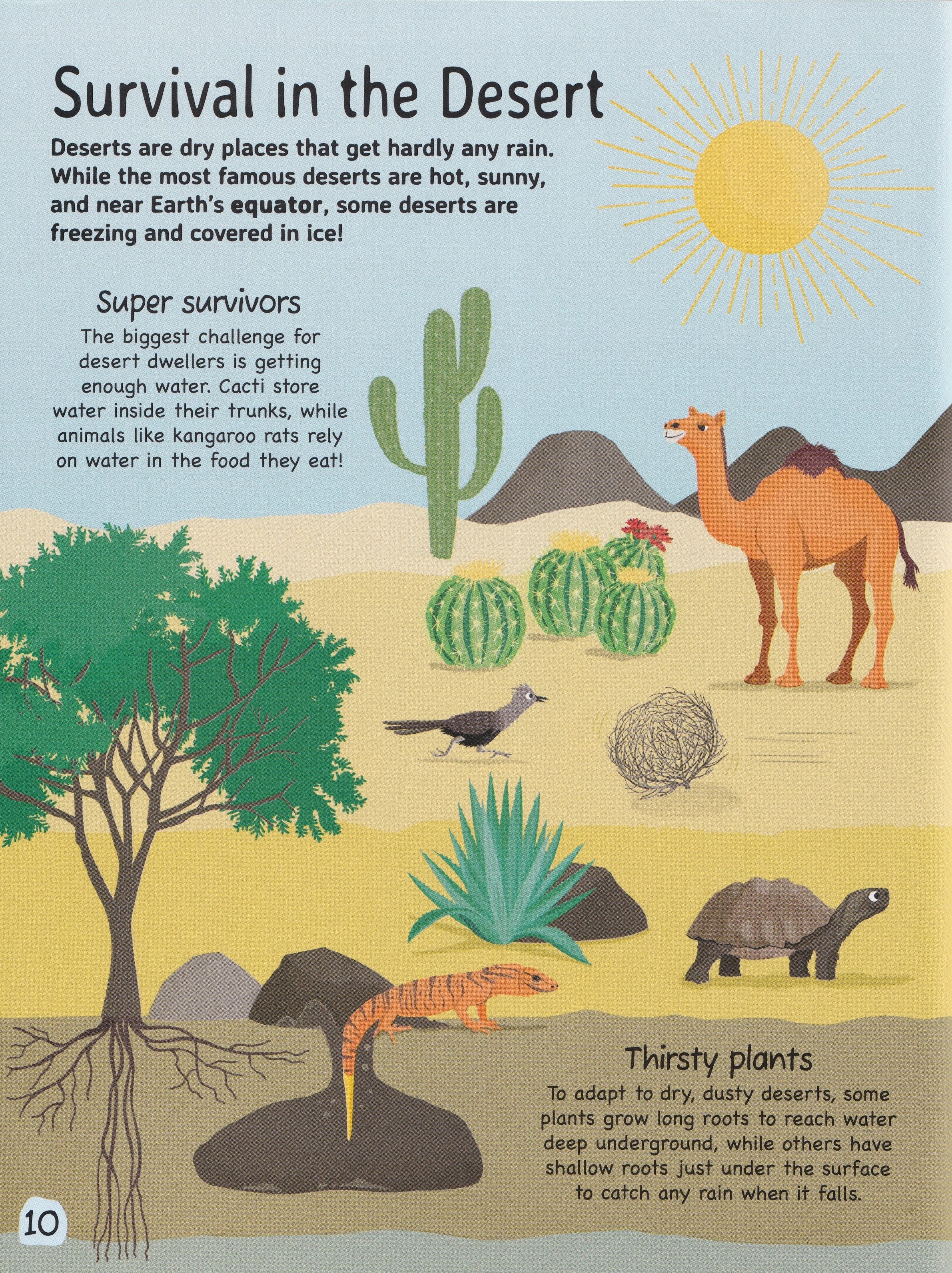Nature: Fascinating Habitats