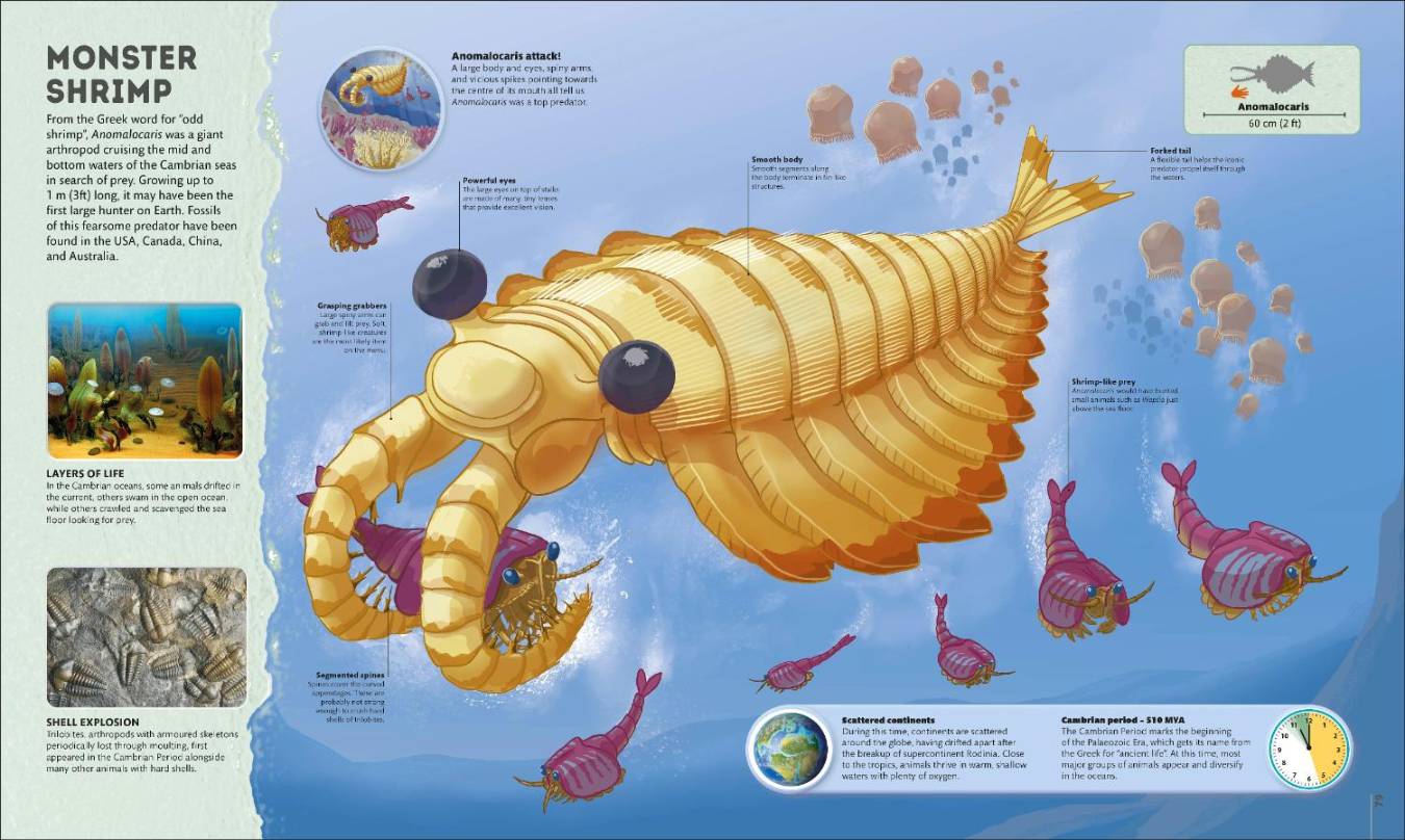 Planet Earth: A 4.5 Billion Year Story