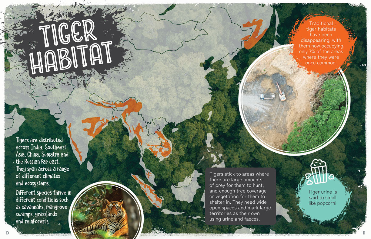 Remarkable Wildlife: Tiger