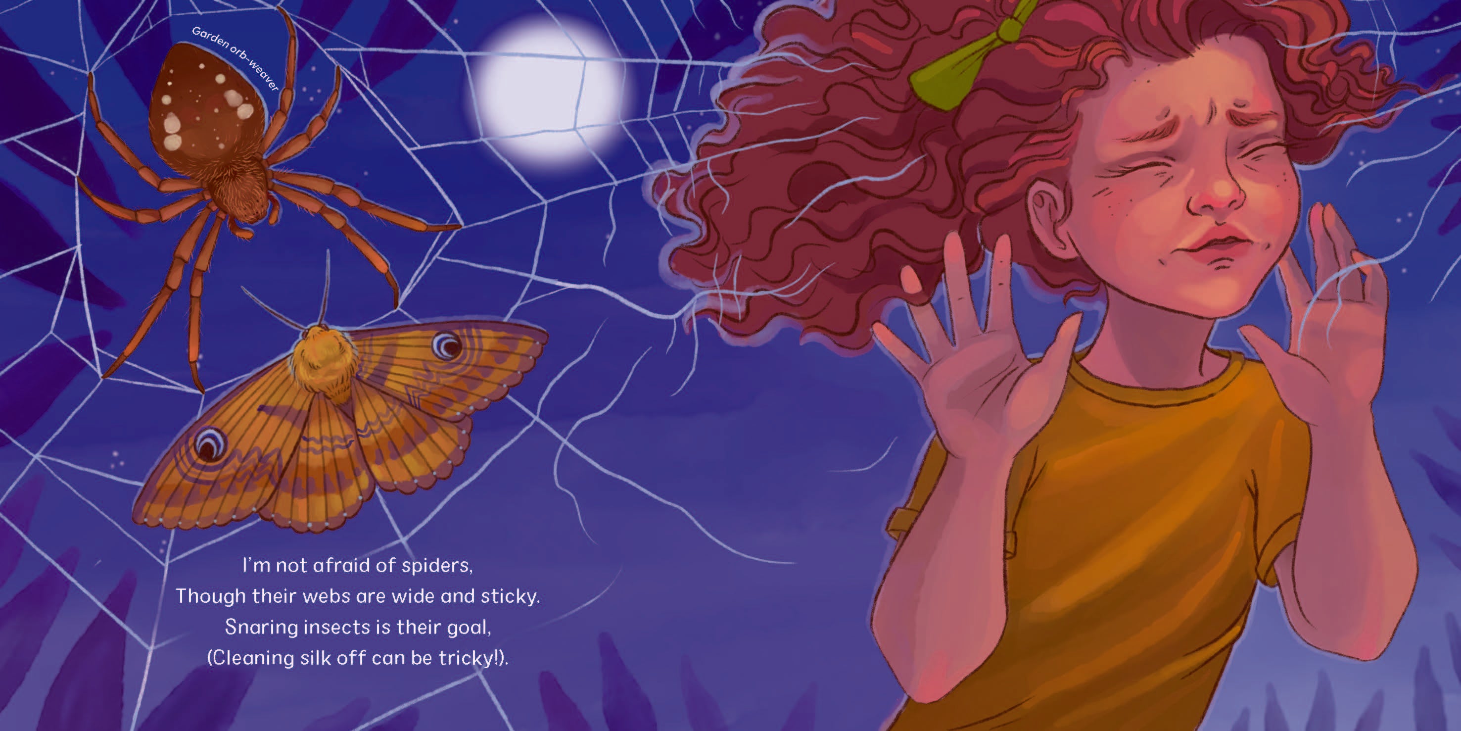 I'm Not Afraid of Spiders