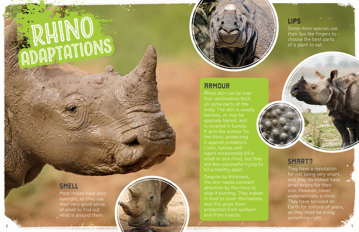 Remarkable Wildlife: Rhinoceros (Rhino)