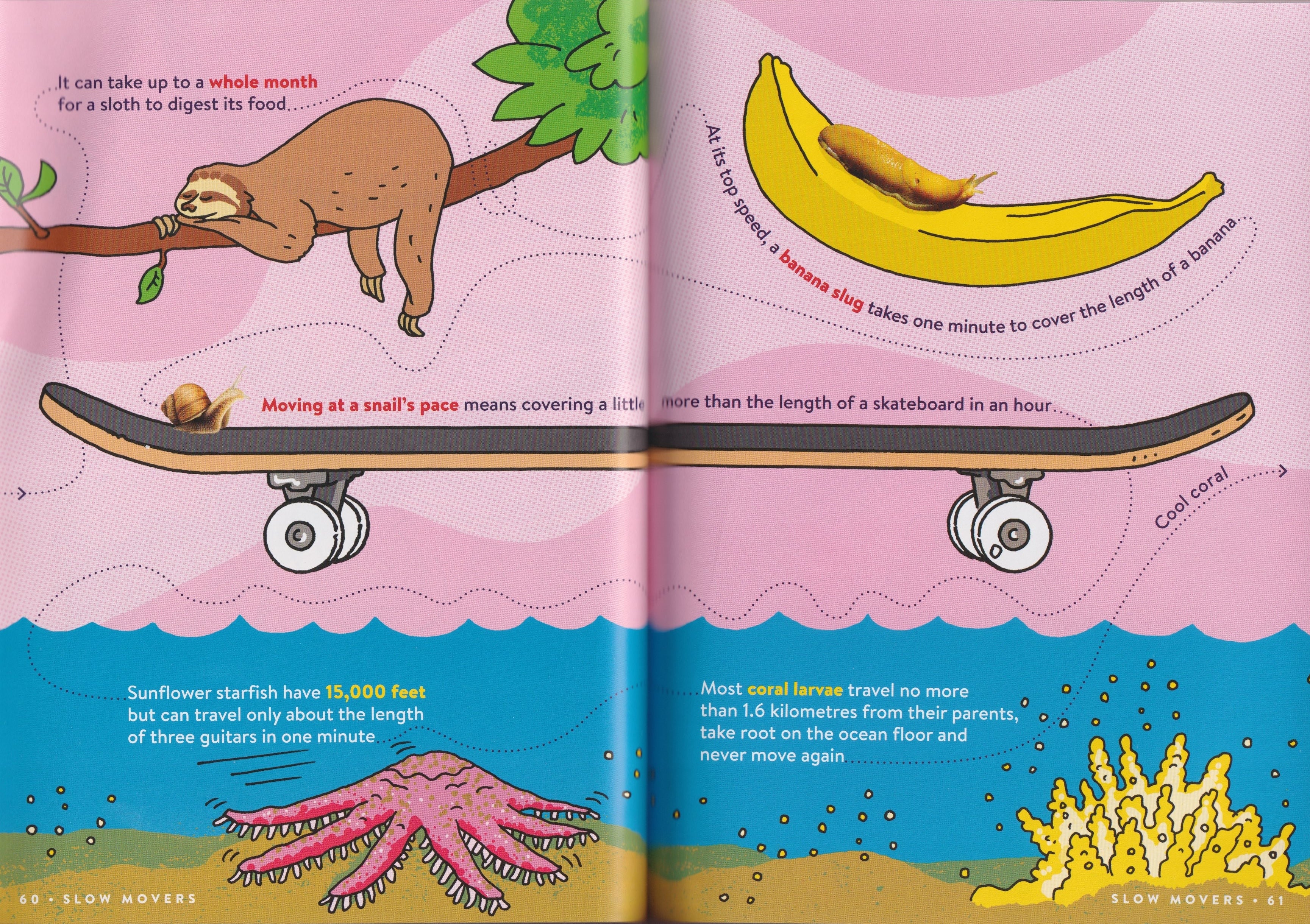 Animal FACTopia!