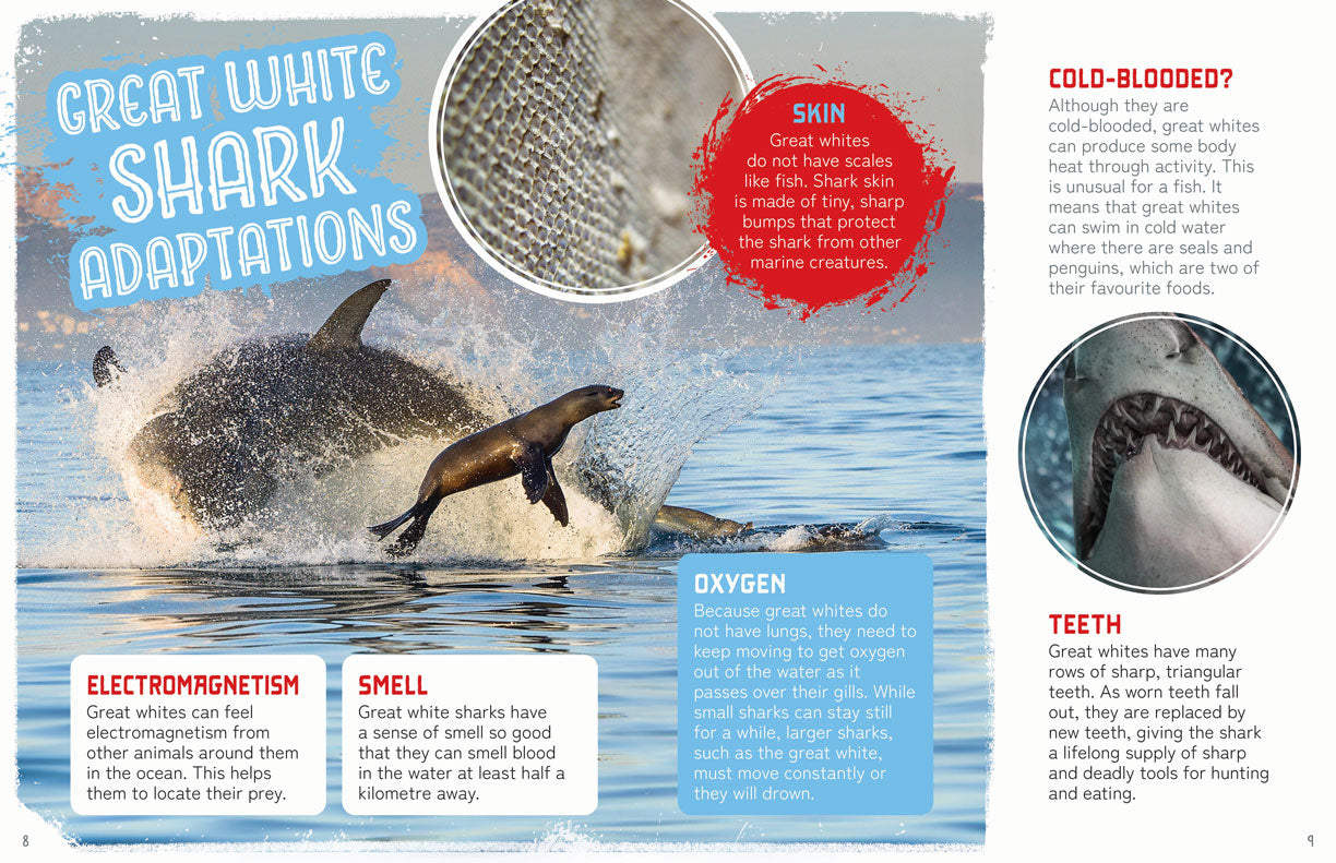 Remarkable Wildlife: Great White Shark