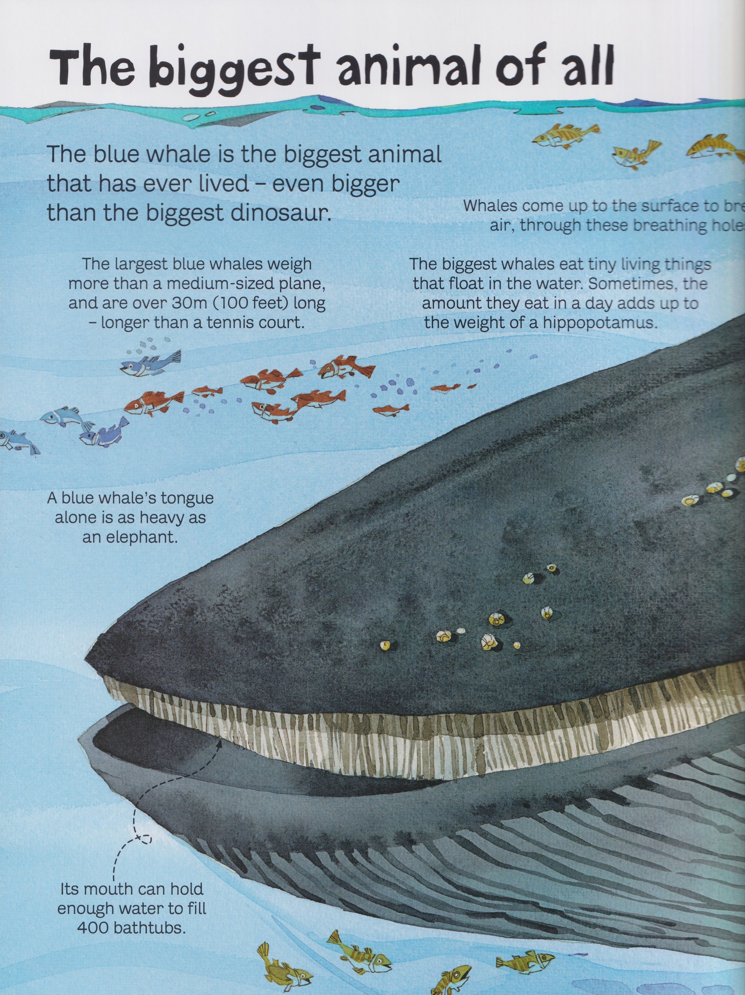 Big Book of Big Animals