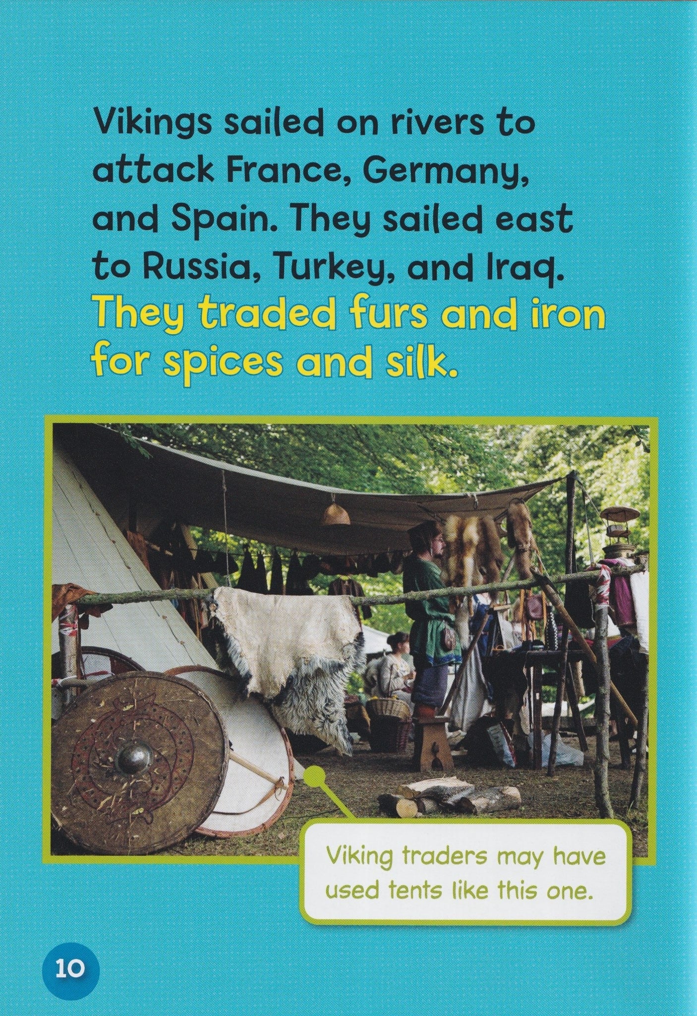 Early Civilizations: Explore the Viking Age