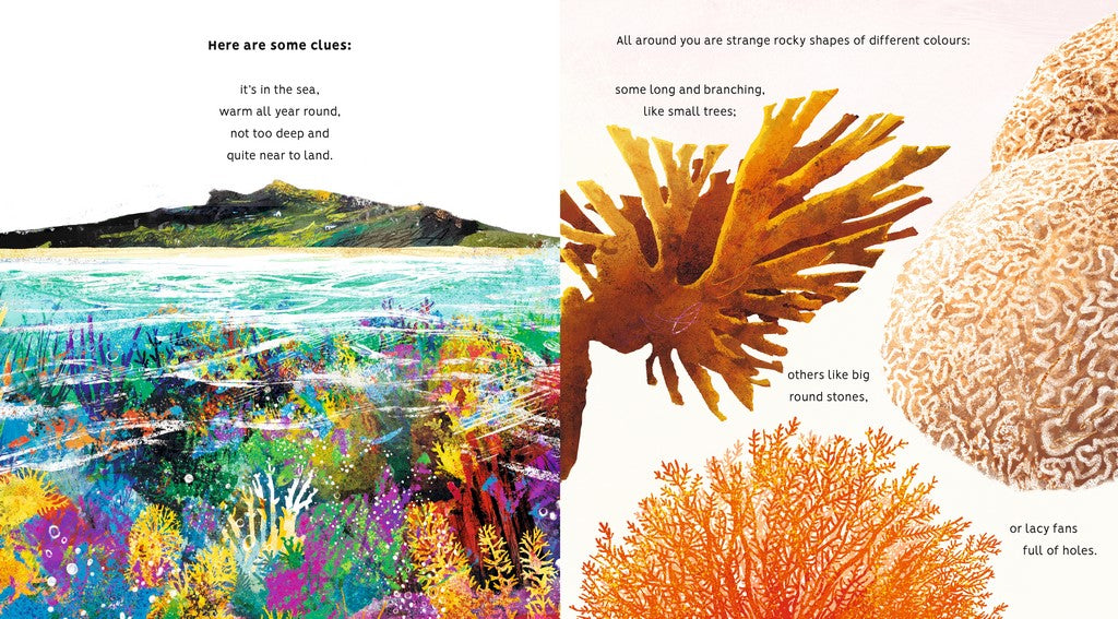 Protecting the Planet: Creatures of the Coral Reef