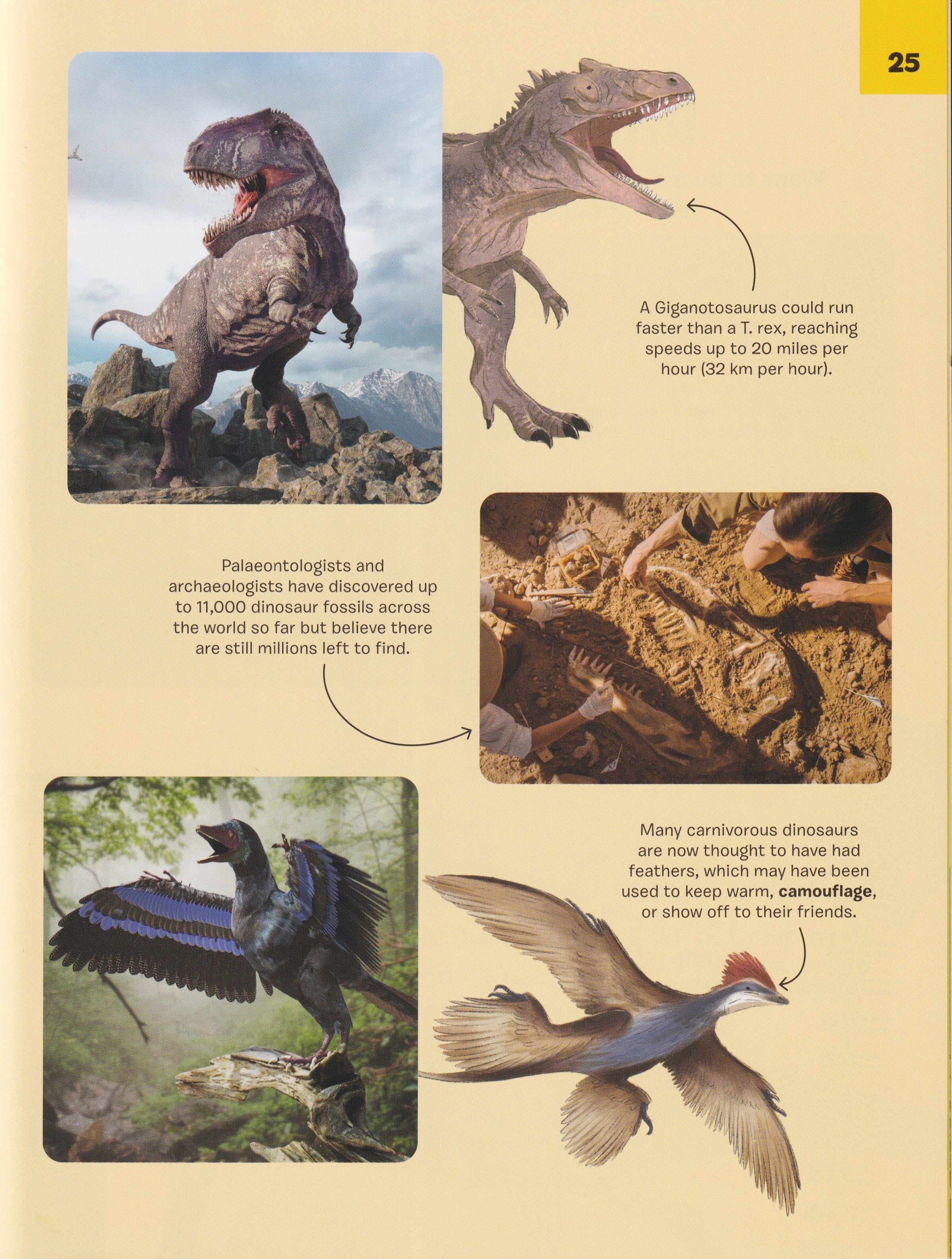 Dinosaurs: Dangerous Dinosaurs