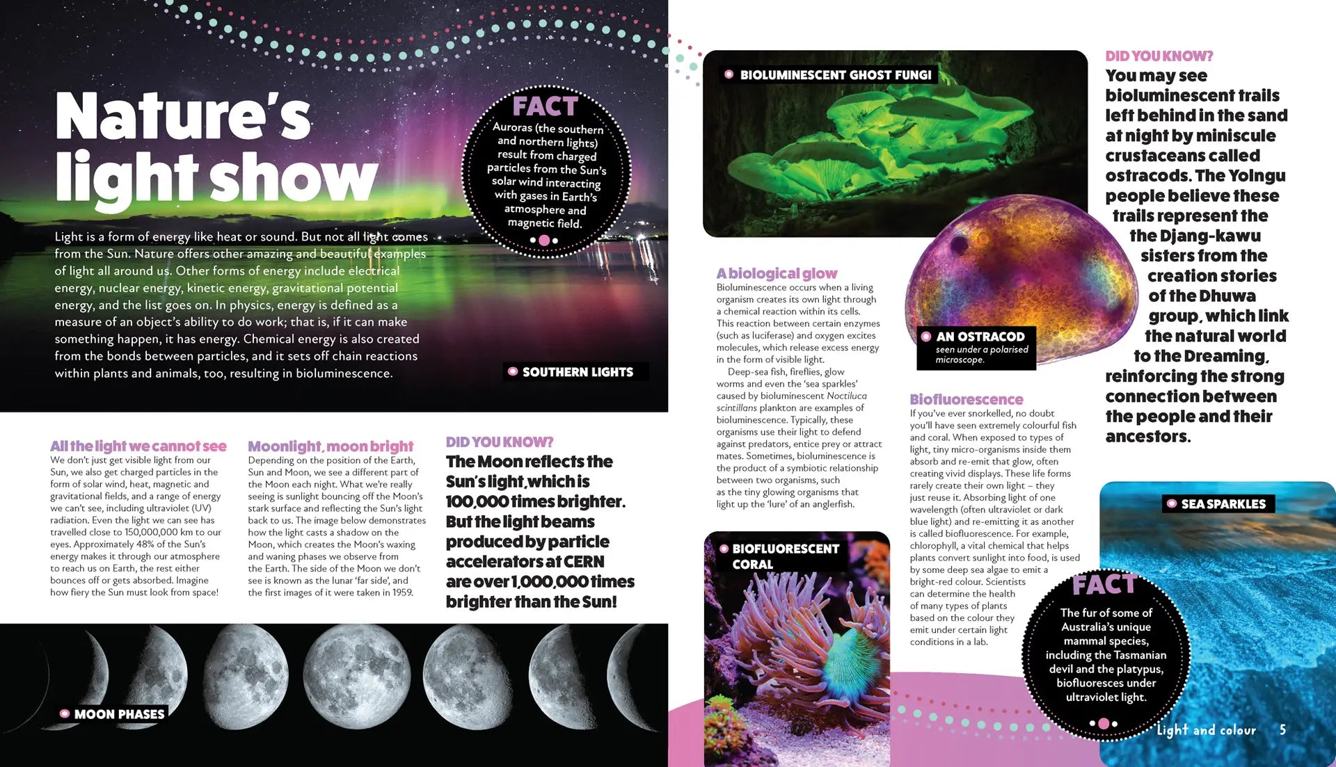 Deadly Science: Light and Colour
