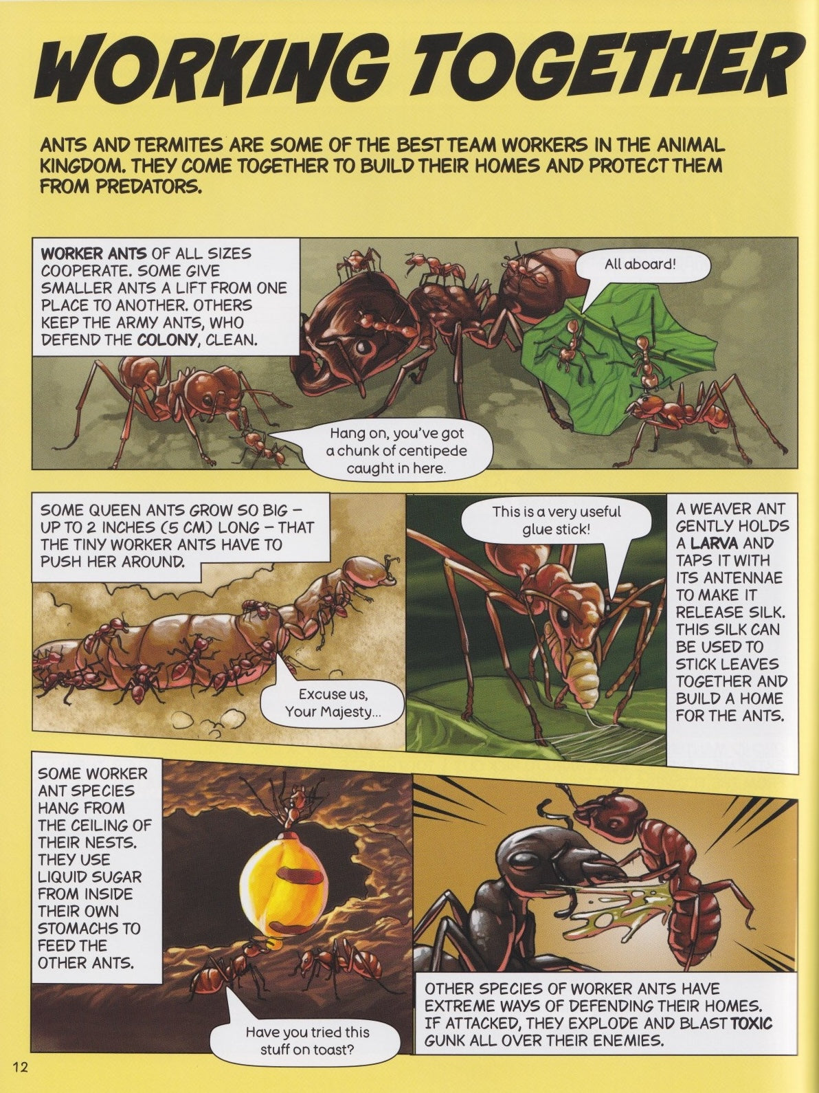 Bugs Uncovered