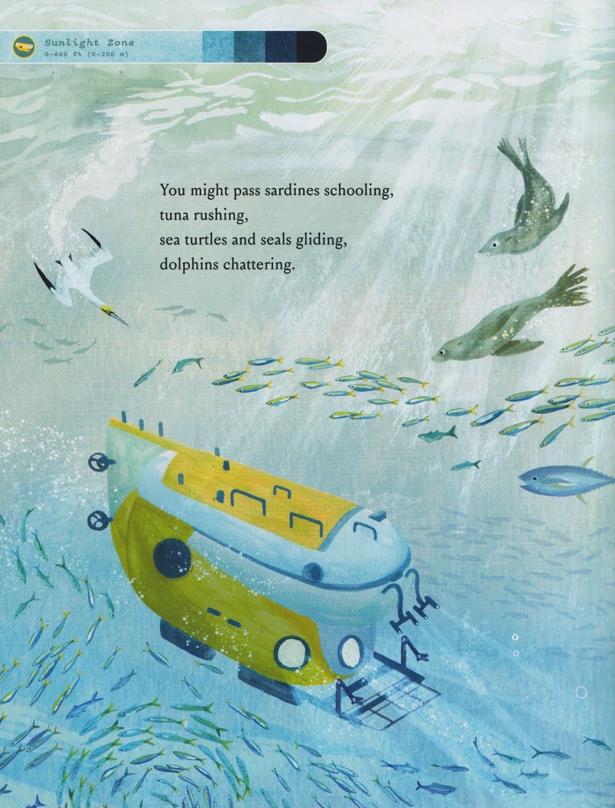 If You Went to the Bottom of the Ocean