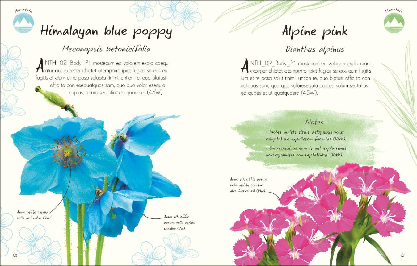 An Anthology of Flowers