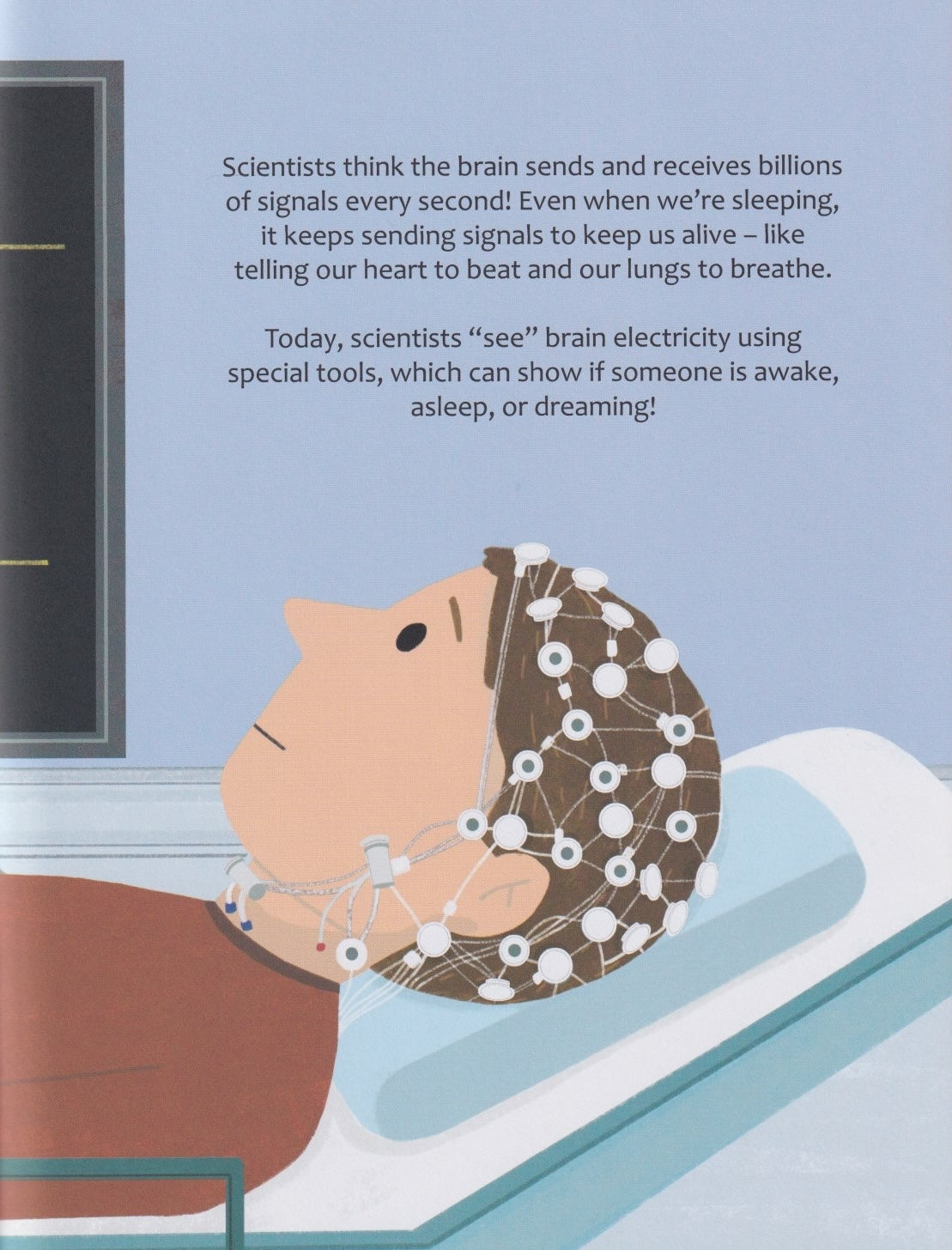 Big Questions Answered: Could the Human Brain Power a Lightbulb? Neurobiology