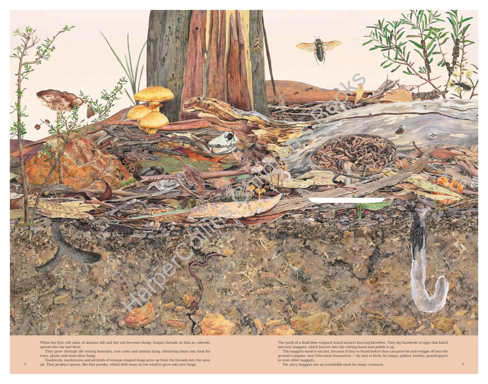 Leaf Litter 20th Anniversary Edition