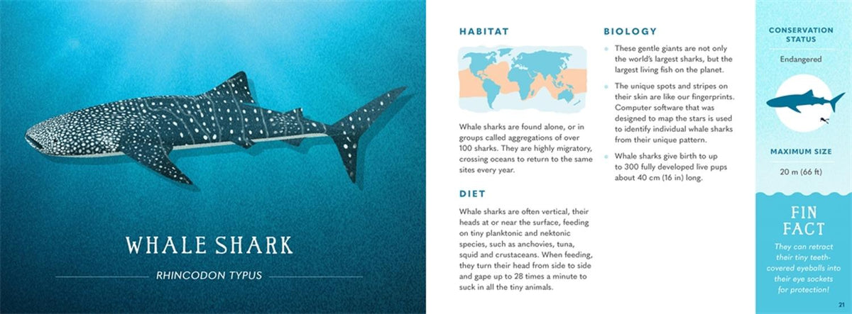 Wonders of the Wild: Sharks
