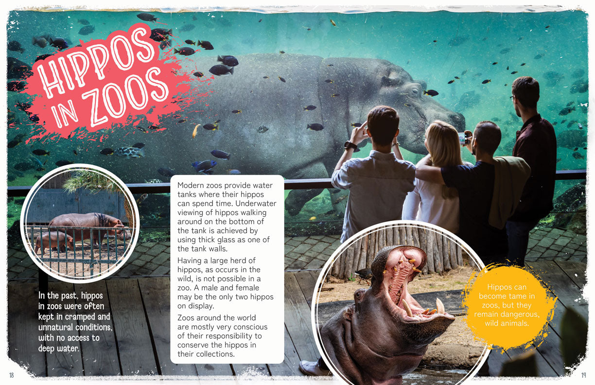 Remarkable Wildlife: Hippopotamus (Hippo)