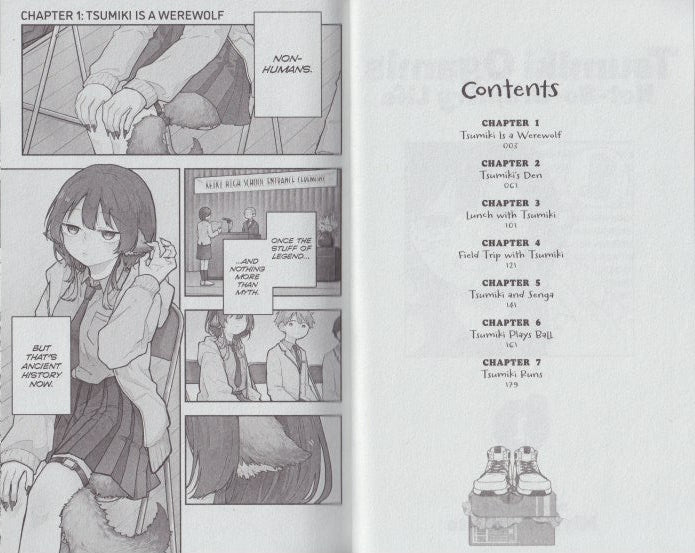 Tsumiki Ogami's Not-So-Ordinary Life, Vol. 1