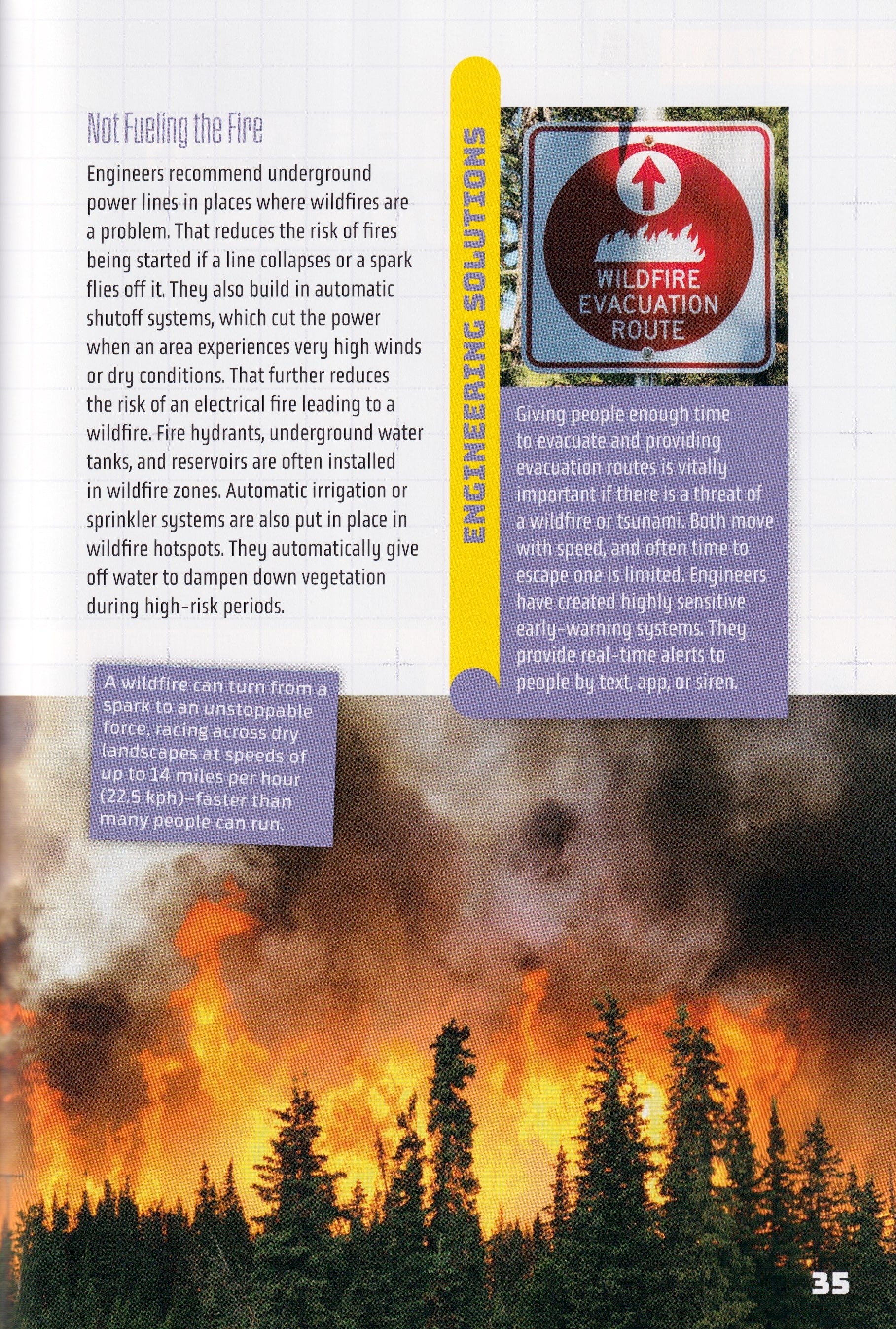 Engineering Evolutions: Beating Natural Disasters