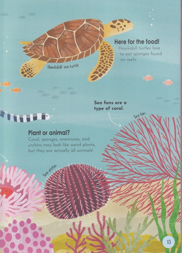 Animal Habitats