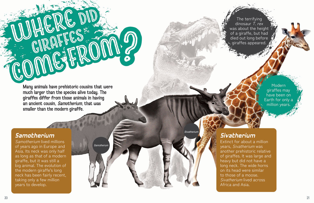 Remarkable Wildlife: Giraffe