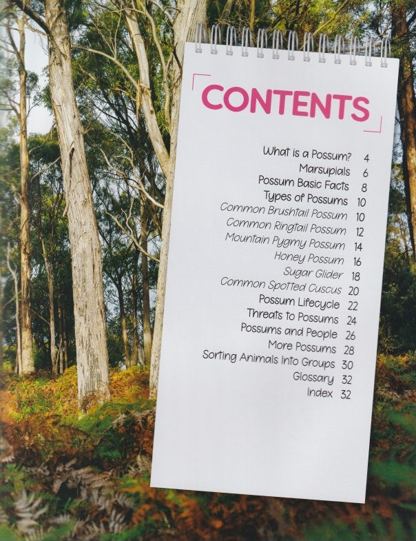 Australia's Remarkable Wildlife: Possum