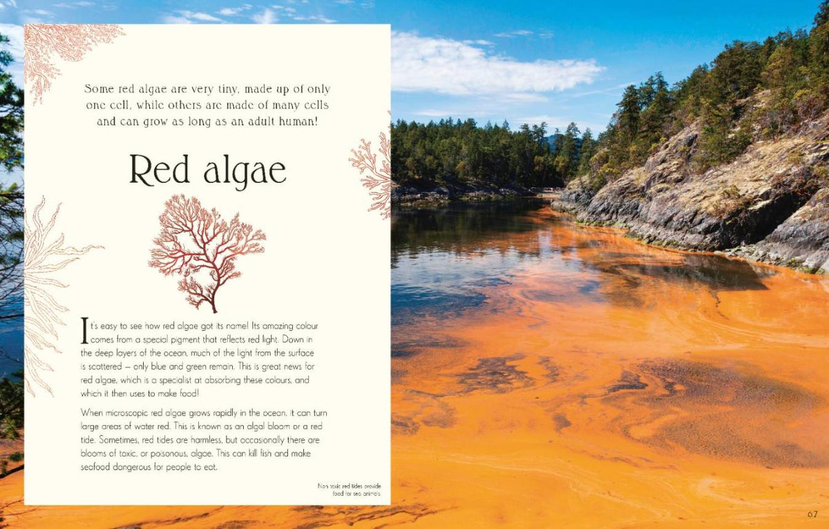 An Anthology of Micro Life