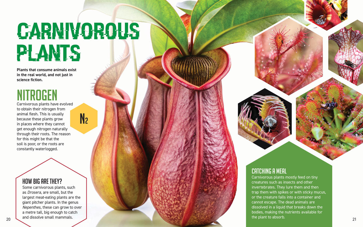 STEM is Everywhere : The Power of PLANTS