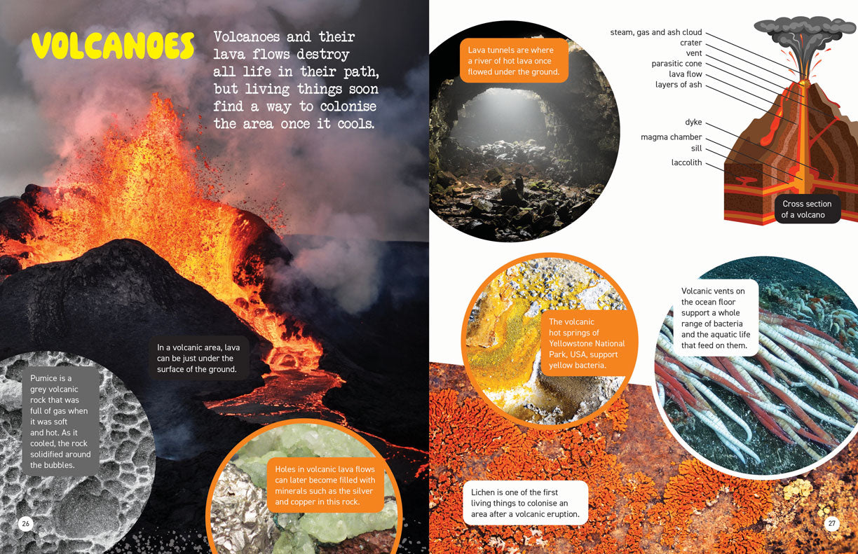 Microscopic and Hidden Life: Hidden Earth